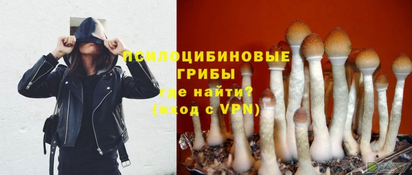 mdpv Арсеньев