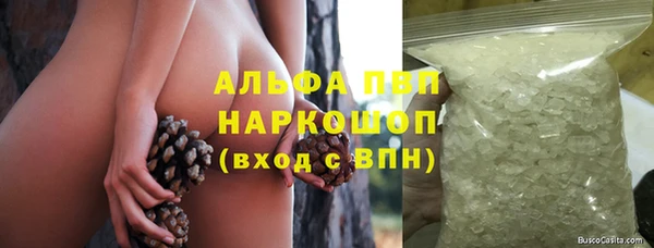 гашик Баксан
