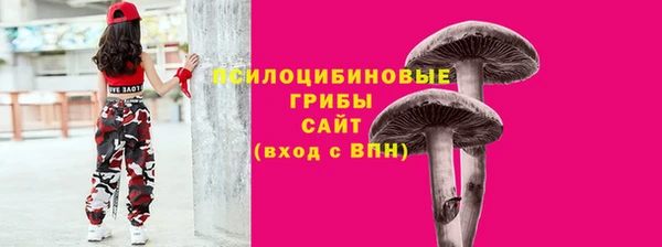 трава Балахна