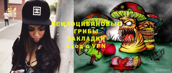 гашик Баксан