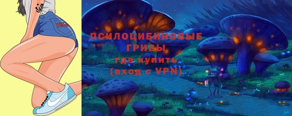 гашик Баксан